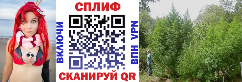 закладка  Отрадная  Шишки марихуана план 