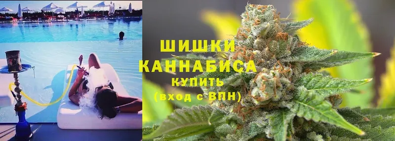 Бошки марихуана SATIVA & INDICA  блэк спрут ссылки  Отрадная 